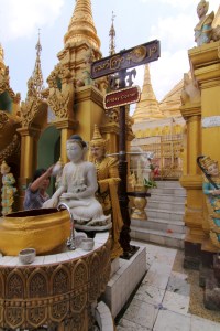 I am a friday born person.so my animal is a guinea pig/hamster